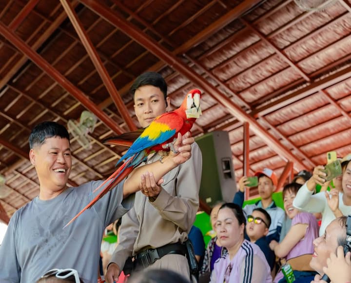 Vé vào cửa, xe Buggy & VIP Tour River Safari tặng quà - VinWonders Nam Hội An Wonder Ride right-1