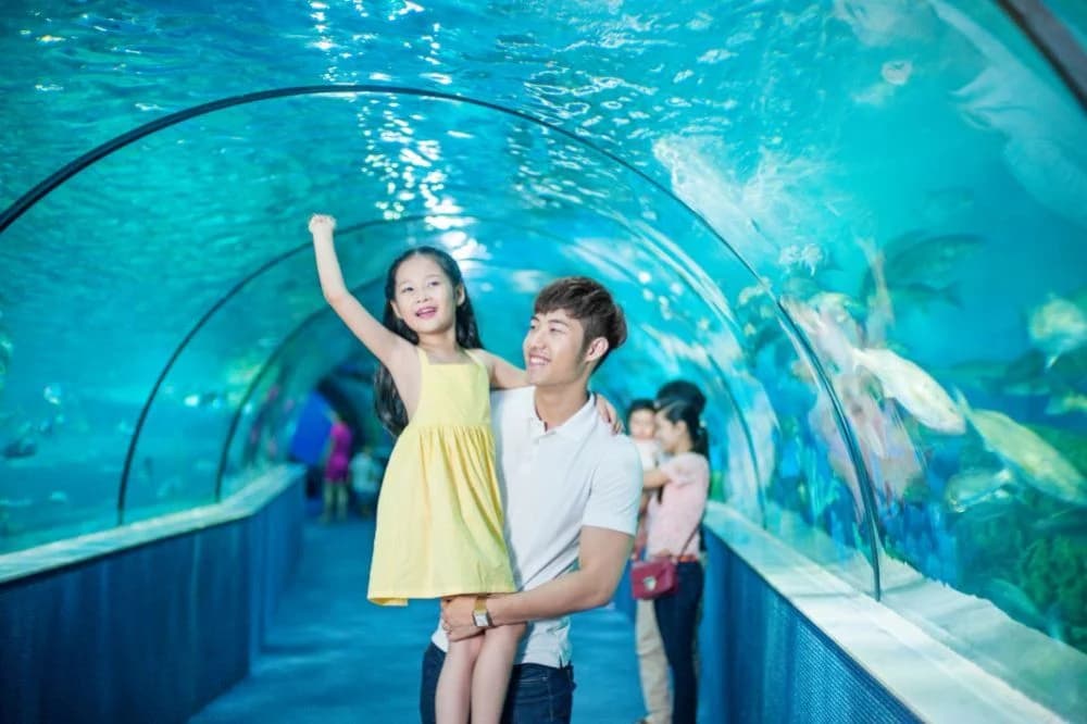 LOVE COMBO Thủy Cung Times City Hà Nội - 2 vé người lớn & dịch vụ tỏ tình, cầu hôn, sinh nhật right-3