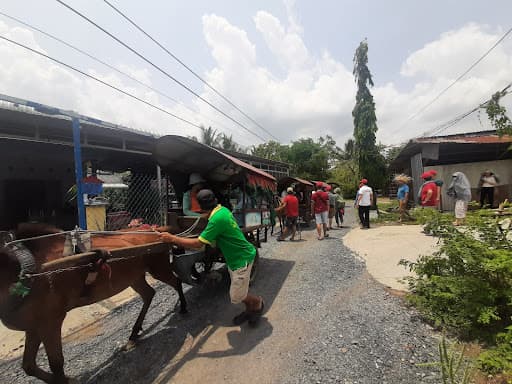 Khu du lịch Việt Nhật right-3