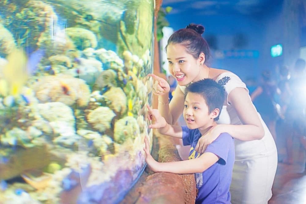 LOVE COMBO Thủy Cung Times City Hà Nội - 2 vé người lớn & dịch vụ tỏ tình, cầu hôn, sinh nhật right-2