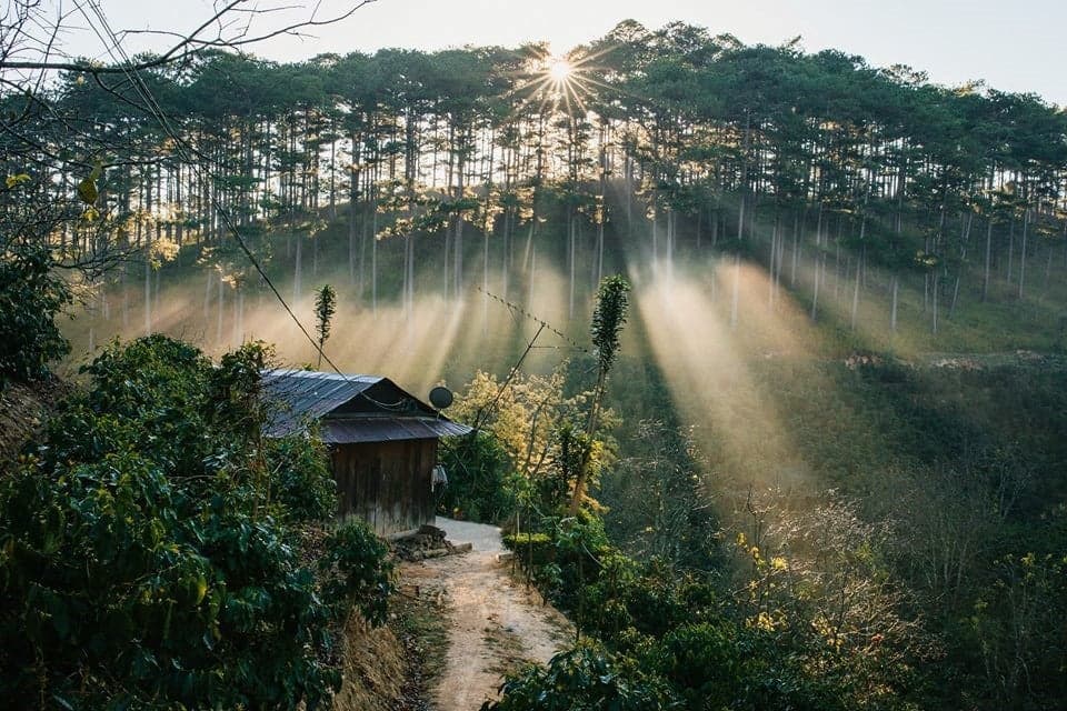 Đà Lạt 4 ngày 3 đêm right-3