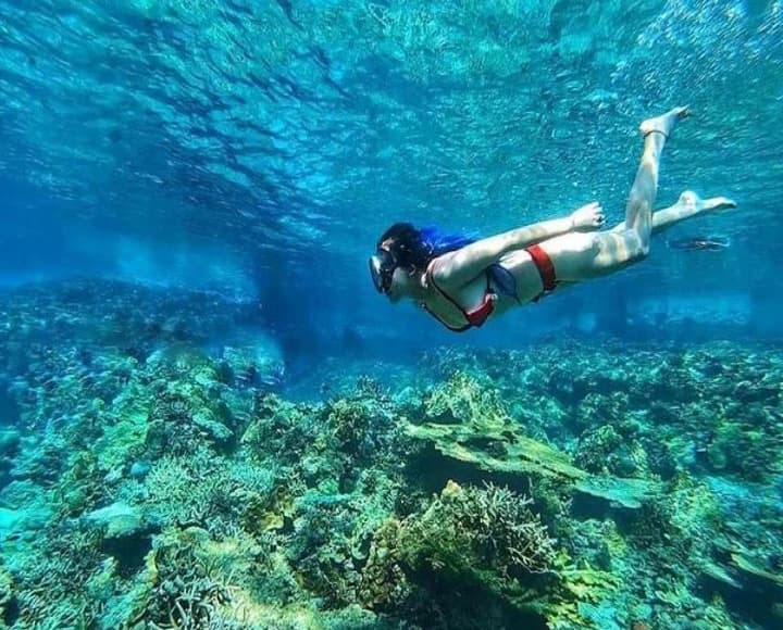 Tour 1 ngày: Snorkeling Hòn Mun + Hòn Tằm + Vinpearl Harbour + Tata Show | Nha Trang Passport main