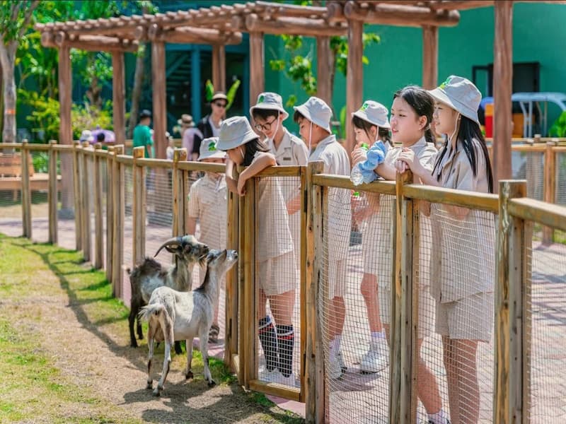 Workshop "Nhân Viên Vườn Thú Nhí" - Junior Zoo Keeper VinWonders Vũ Yên 5