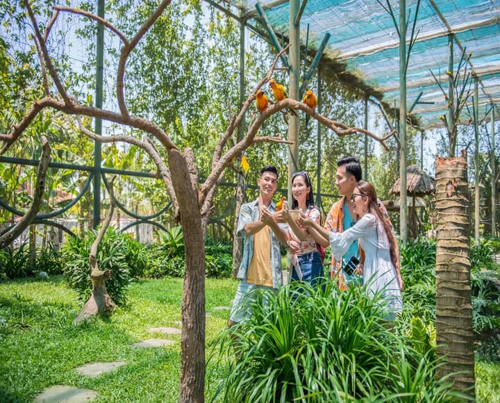 Vé vào cửa, xe Buggy & VIP Tour River Safari tặng quà - VinWonders Nam Hội An Wonder Ride 5