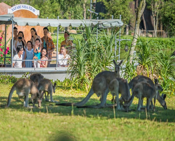 VinWonders Nam Hội An Wonder Sunset - Combo vé sau 14:00, xe Buggy không giới hạn & voucher ẩm thực right-3