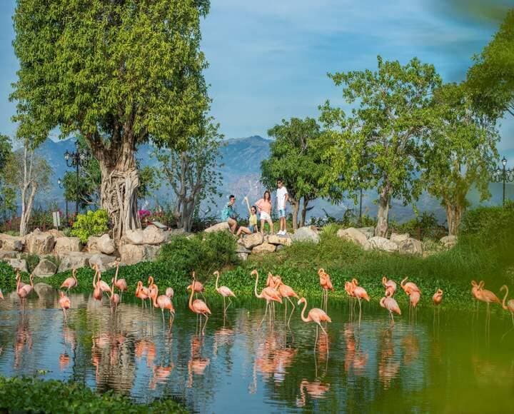 Vé vào cổng 3 ngày liên tiếp – Ra vào không giới hạn | VinWonders Nha Trang right-3