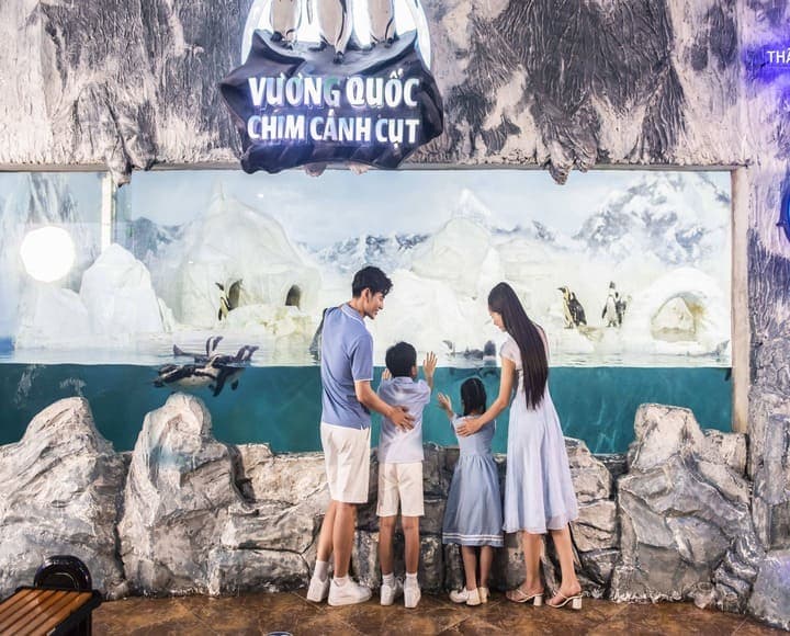 Vé vào cửa trực tiếp | Thủy Cung Vinpearl Aquarium Times City Hà Nội right-3