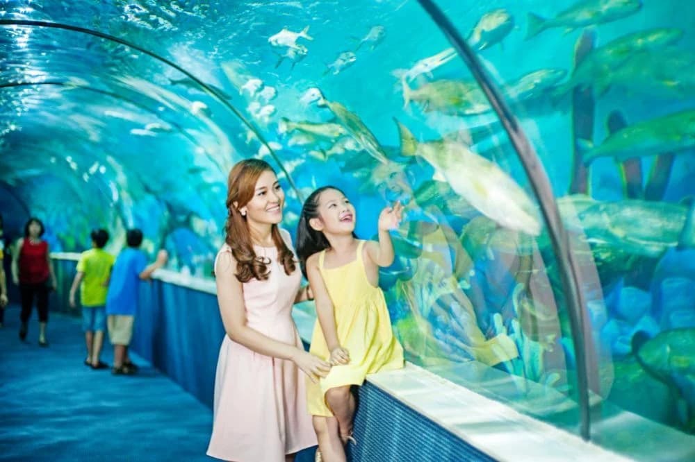 LOVE COMBO Thủy Cung Times City Hà Nội - 2 vé người lớn & dịch vụ tỏ tình, cầu hôn, sinh nhật main
