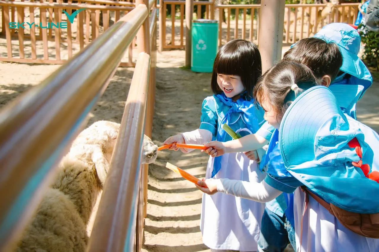 VinWonders Nam Hội An - Trải nghiệm Junior Zoo Keeper (Nhân viên vườn thú nhí) main