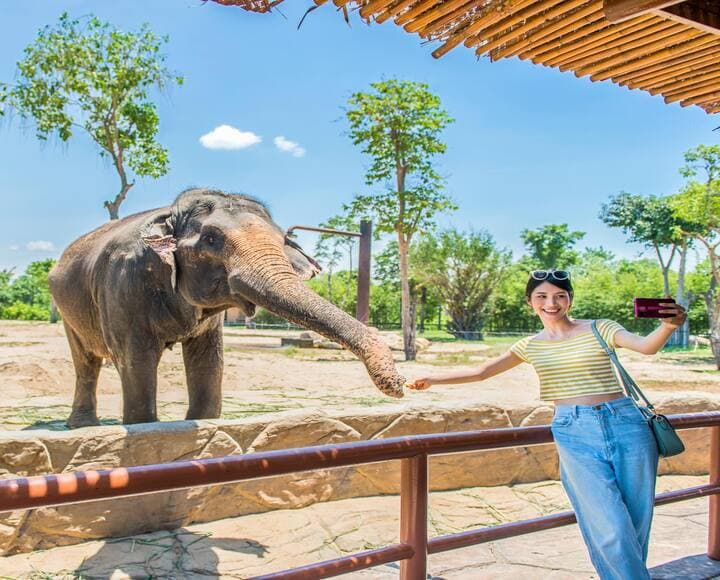 VinWonders Nam Hội An - Vé vào cửa sau 14:00 right-2
