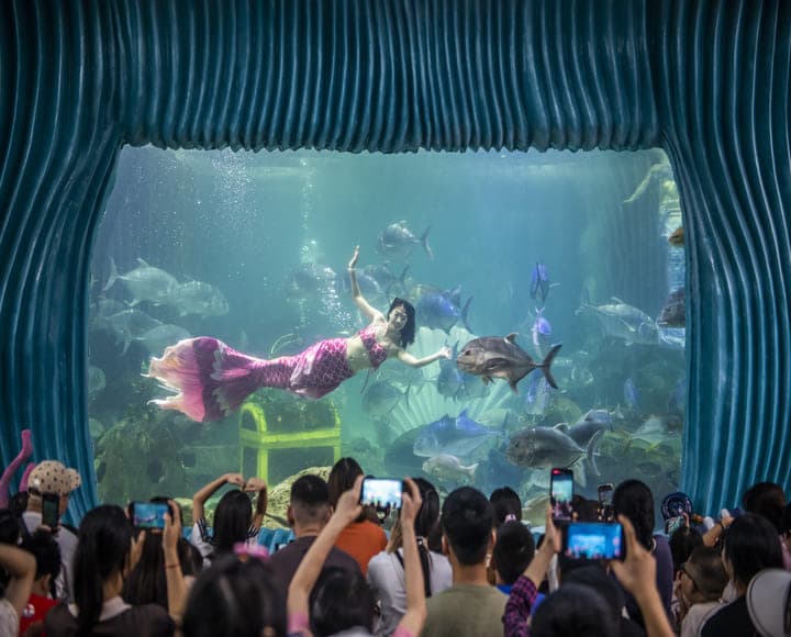 Vé vào cửa trực tiếp | Thủy Cung Vinpearl Aquarium Times City Hà Nội 5