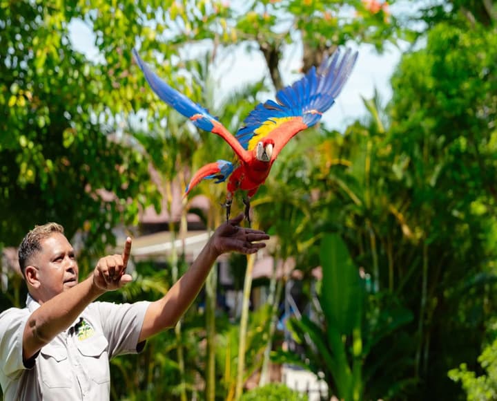 Nam Hội An Signature - Vé vào cửa & Gói VIP Tour River Safari main