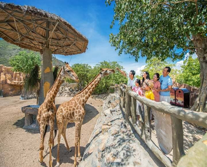 Vé vào cổng 3 ngày liên tiếp – Ra vào không giới hạn | VinWonders Nha Trang 5