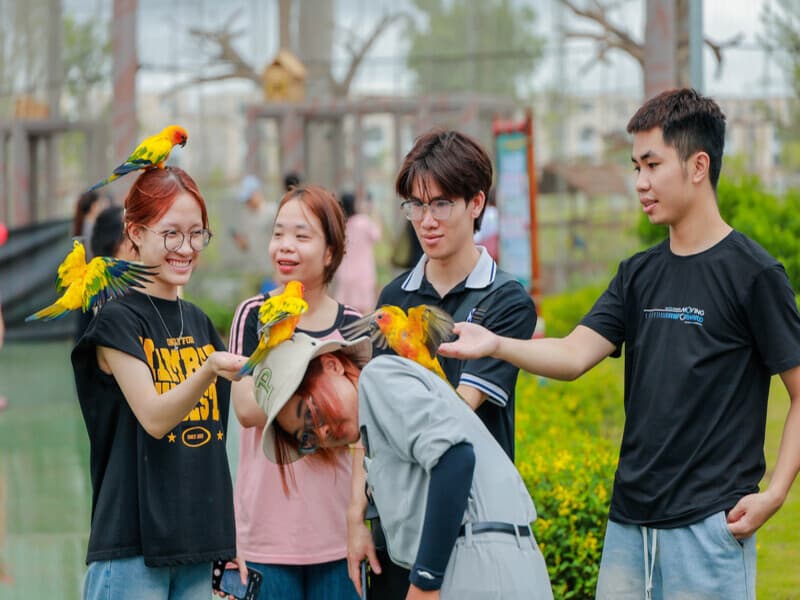 Combo Vườn Thú, Khu Trò Chơi & Go Kart Vũ Yên | VinWonders Vũ Yên right-1