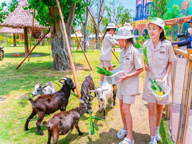 Workshop "Nhân Viên Vườn Thú Nhí" - Junior Zoo Keeper VinWonders Vũ Yên main
