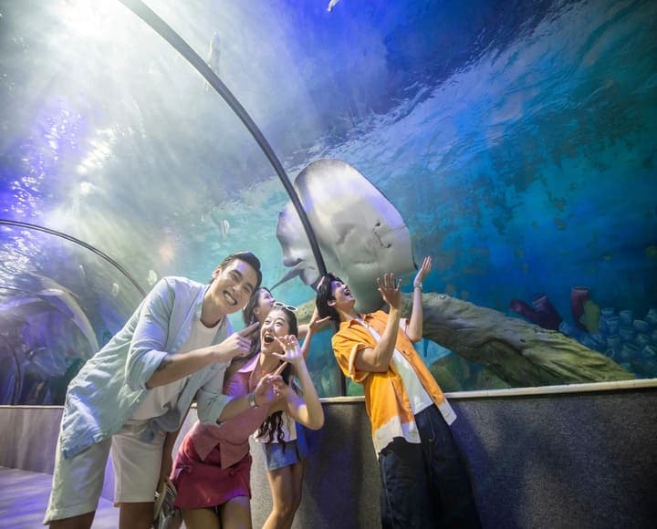Vé vào cửa trực tiếp | Thủy Cung Vinpearl Aquarium Times City Hà Nội 2