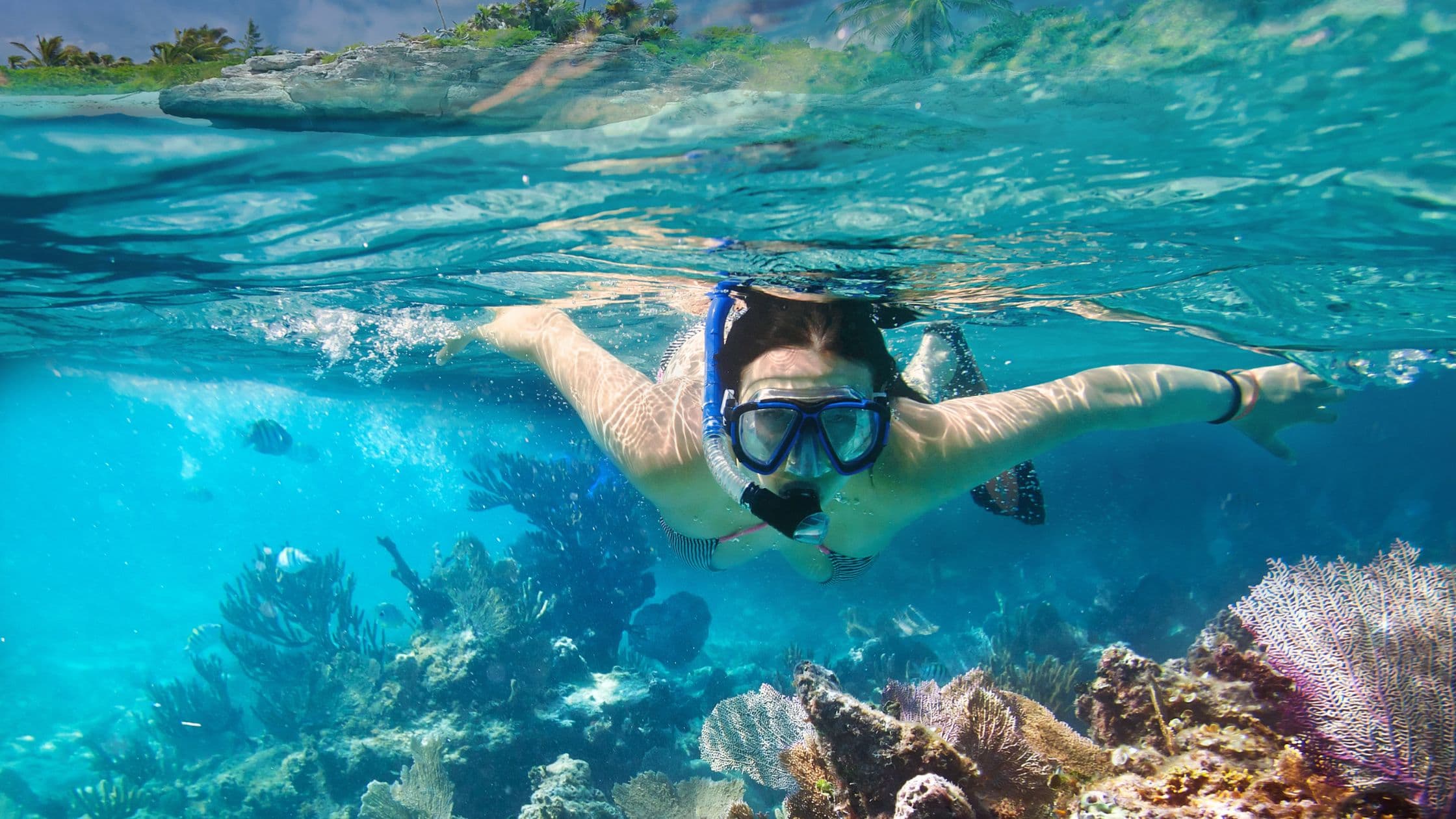 Trải nghiệm lặn ống thở (Snorkeling) 15 phút | Hòn Tằm main